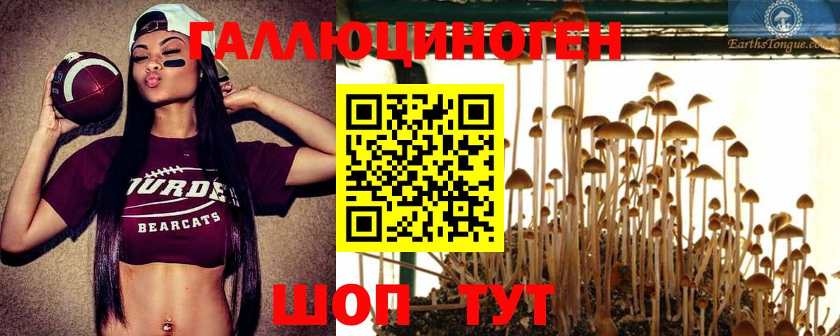 Электросталь  Галлюциногенные грибы MAGIC MUSHROOMS  Вход с VPN  Псилоцибиновые грибы Cubensis 
